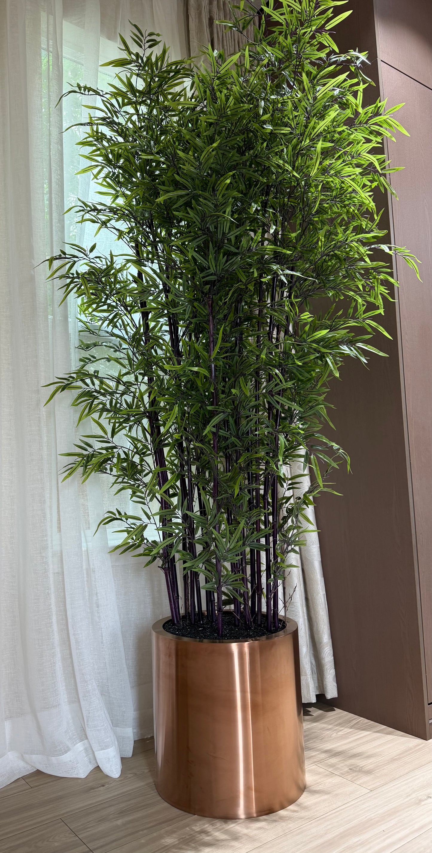 512-(Bamboo Palm)