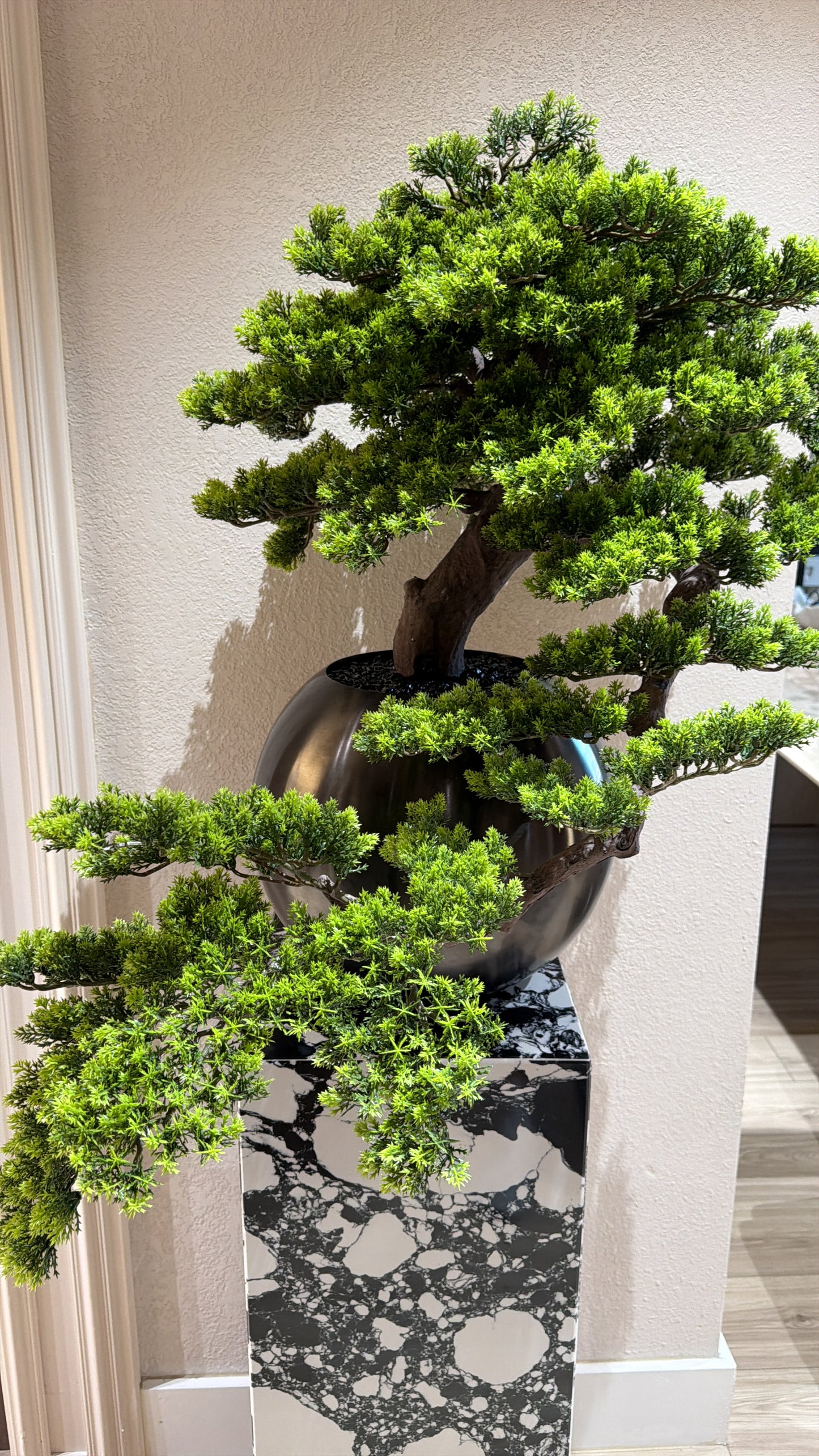 512-bonsai