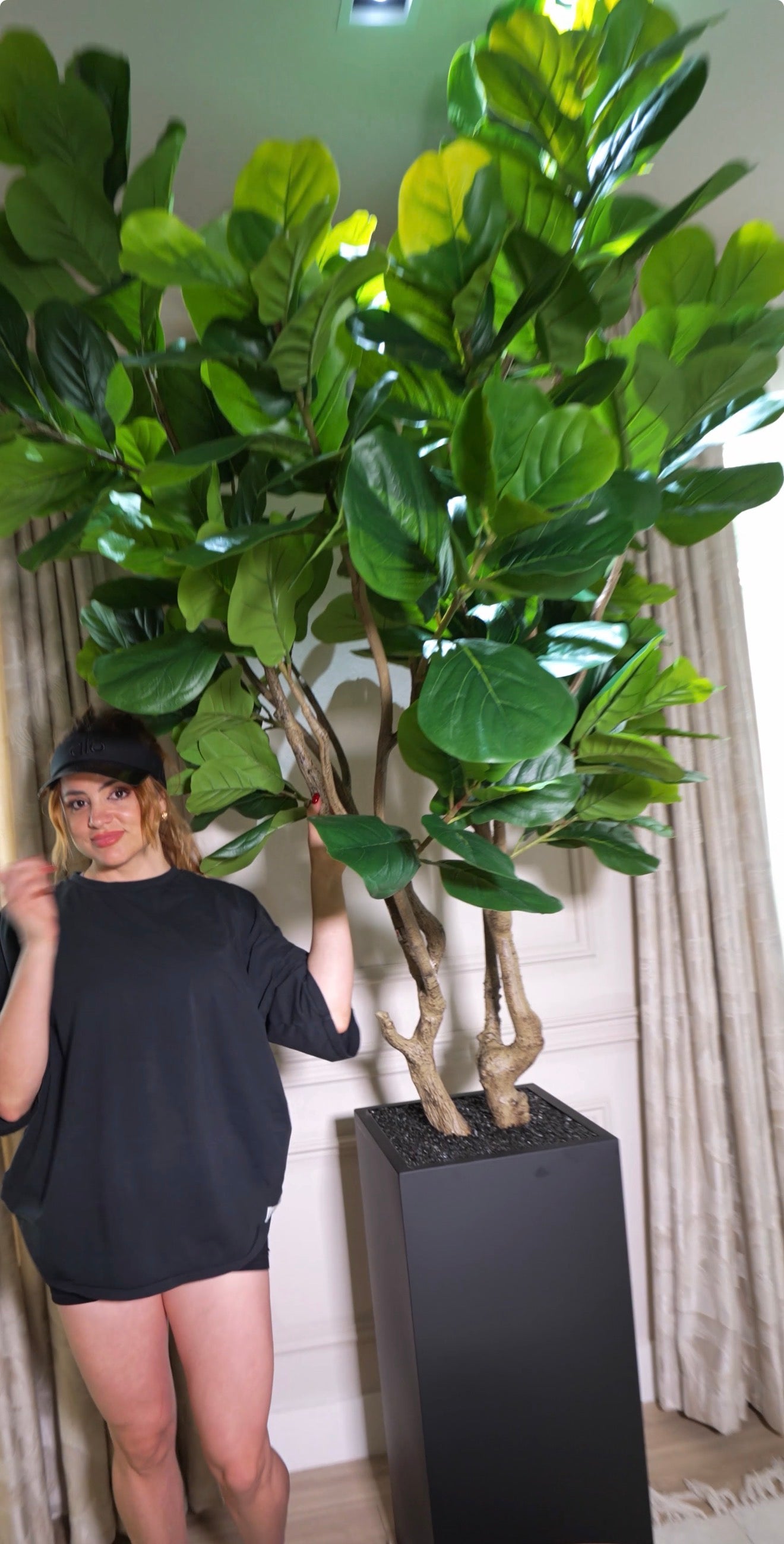 512-ficus