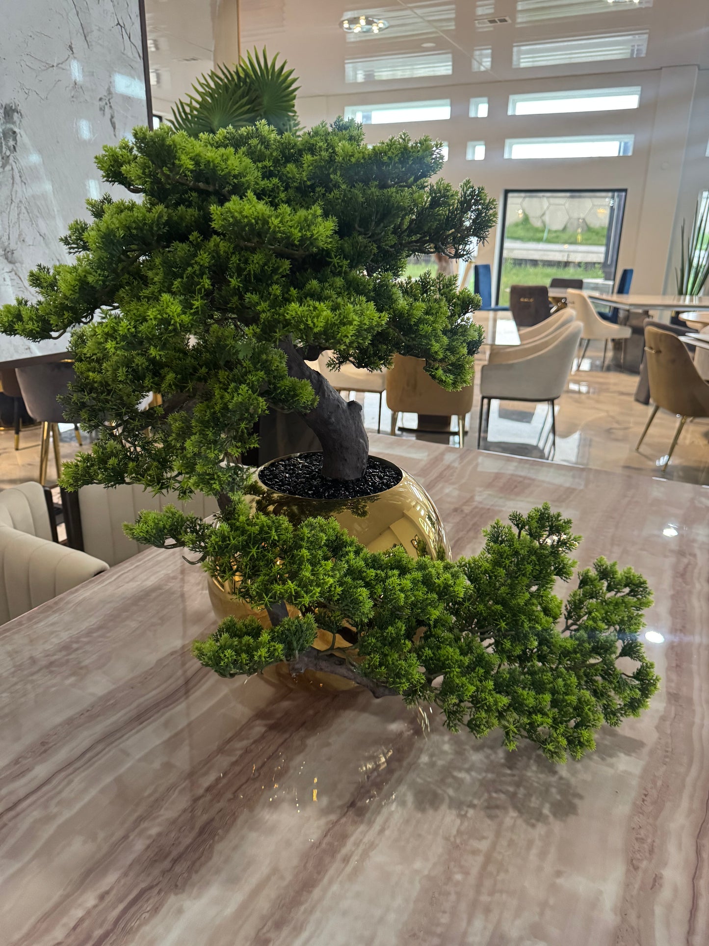 512-bonsai